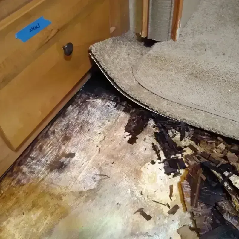 Wood Floor Water Damage in Washington County, MN